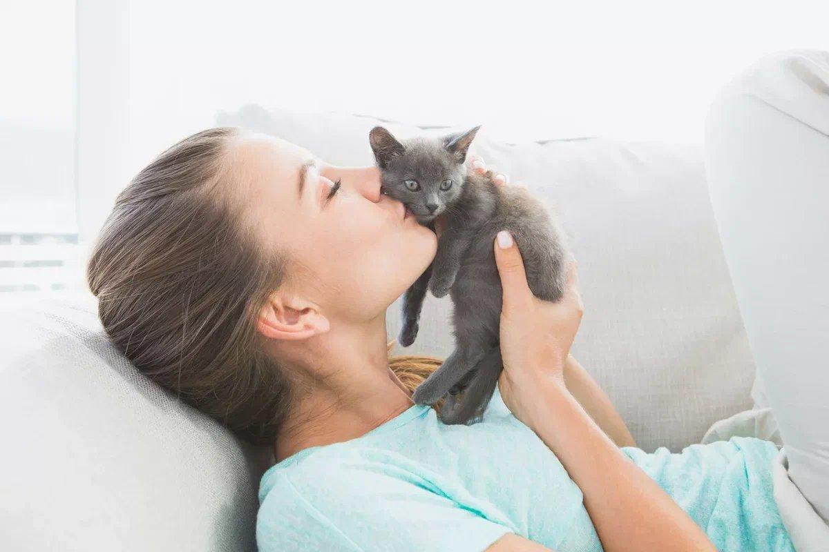 ما معنى تفسير حلم امرأة تلد قطة بشارة خير أو شر ؟