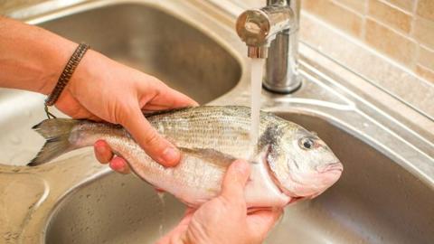 تفسير تنظيف السمك فى المنام لابن سيرين
