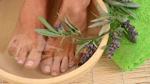 علاج رائحة القدمين بالأعشاب والتخلص منها نهائيًا