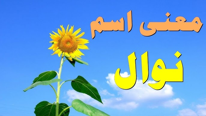 معنى اسم نوال وصفات حاملة اسم نوال Nawal